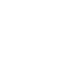 Logo Shopify