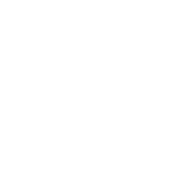 Logo Stripe