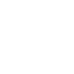 Logo Woocommerce