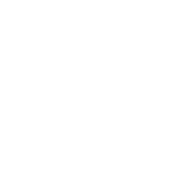 Logo WordPress