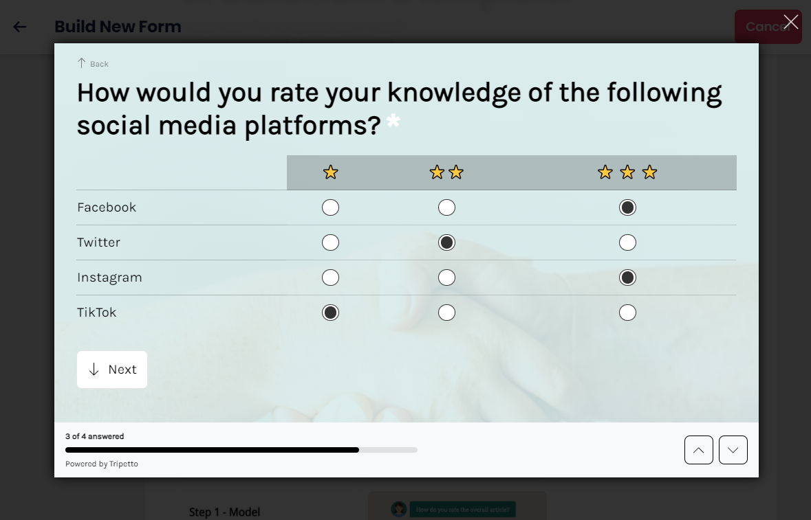 A live preview of a template in the Build New Form screen in the Tripetto WordPress plugin.